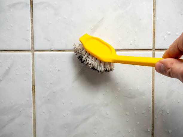 Best Home Mold Removal  in Whitney, TX