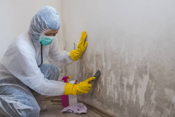 Best Mold Remediation Services  in Whitney, TX