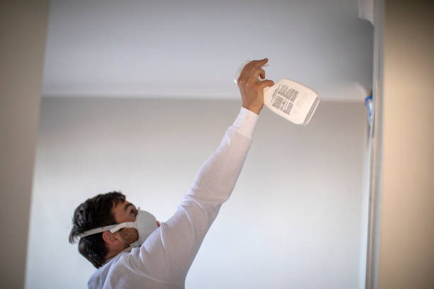Best Office Mold Removal Services  in Whitney, TX