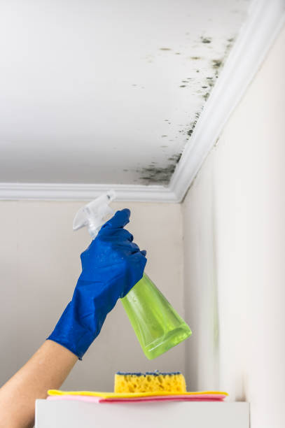 Best Professional Mold Removal  in Whitney, TX